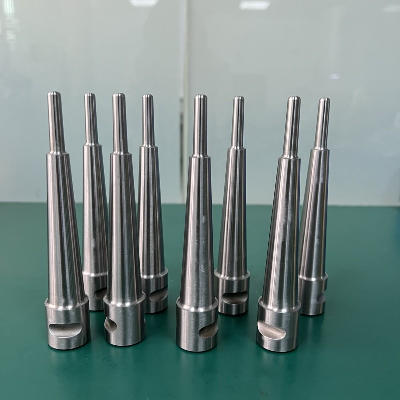 Plastic  Mold punch
